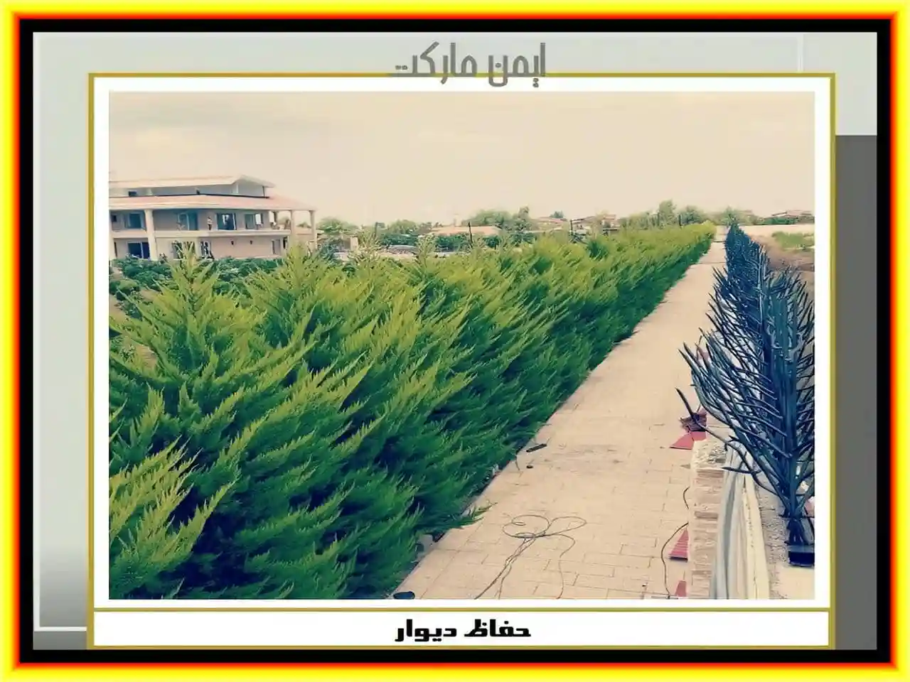 تفاوت حفاظ شاخ گوزنی با سیم خاردار