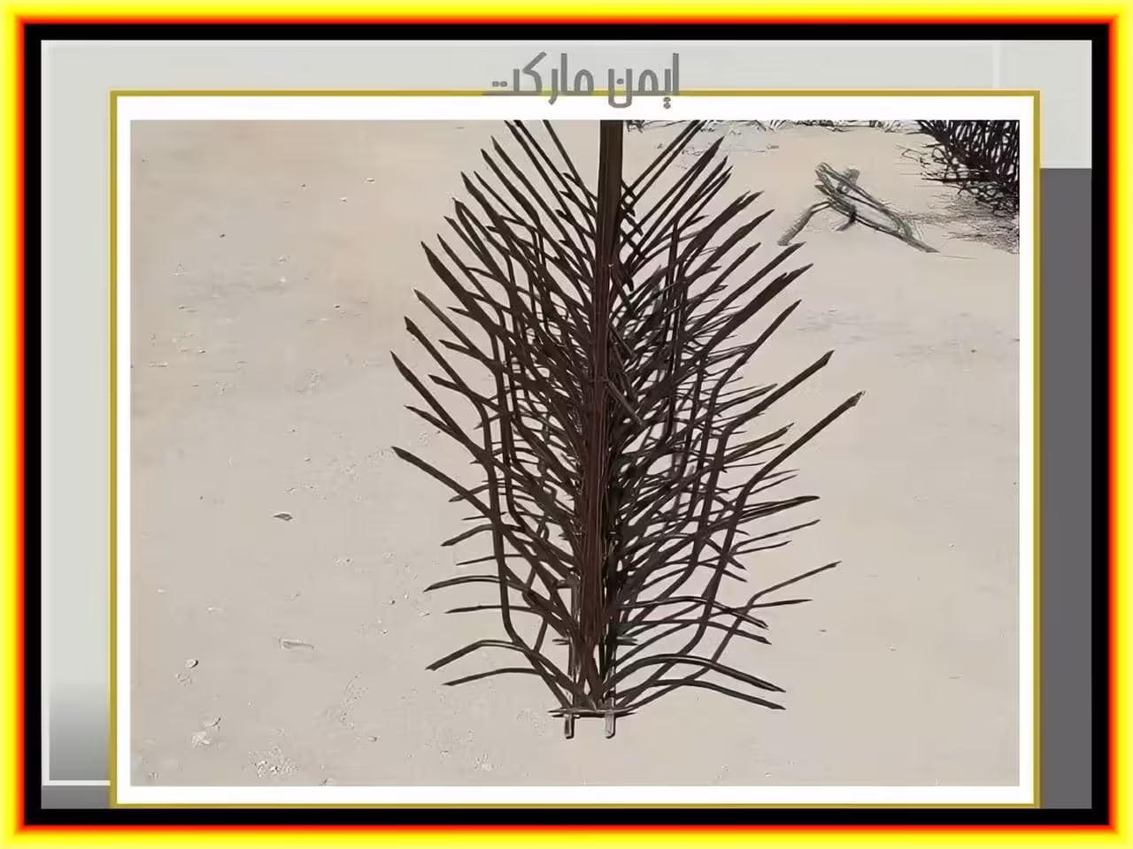 حفاظ دیوار از کجا بخرم