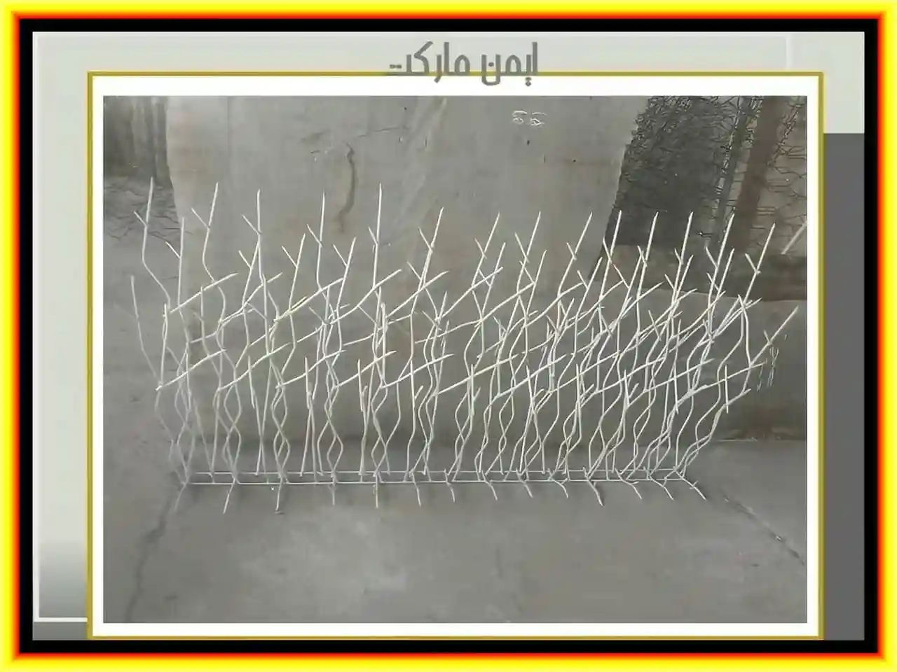 مقایسه حفاظ شاخ گوزنی و حفاظ سرنیزه ای