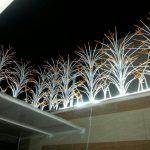 حفاظ لیلیوم