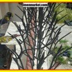 نرده حفاظ مدل شمشاد خاردار