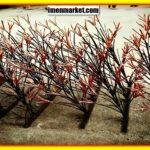 ترکیب امنیت و زیبایی با حفاظ دیوار