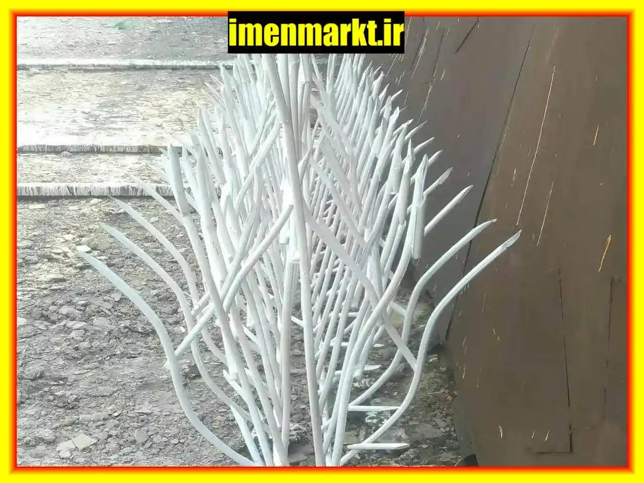 امکانات حفاظ شاخ گوزنی