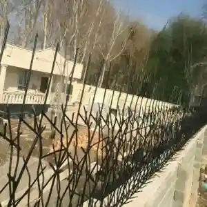 حفاظ شاخ گوزنی تراکم 31 حفاظ شاخ گوزنی تراکم 31