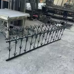 حفاظ شمشادی