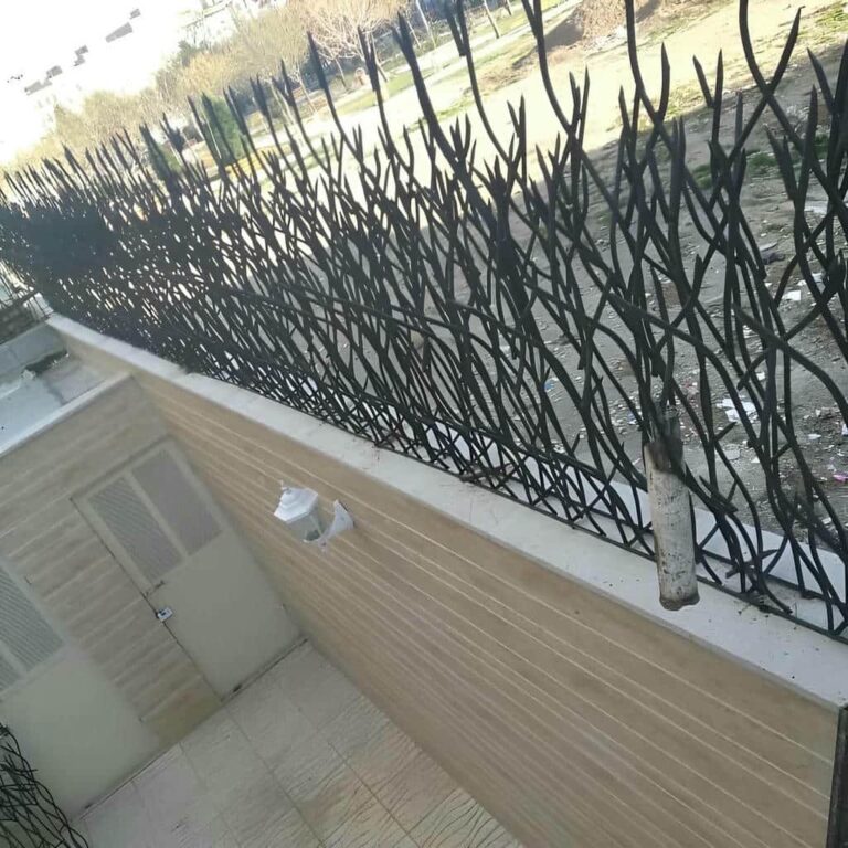 مشاهده عکس مدل های متنوع حفاظ شاخ گوزنی