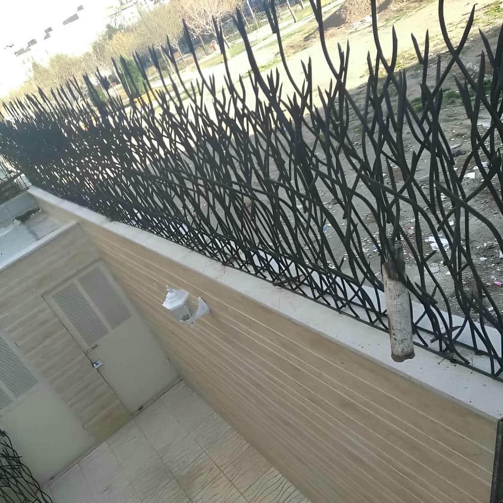 مشاهده عکس مدل های متنوع حفاظ شاخ گوزنی