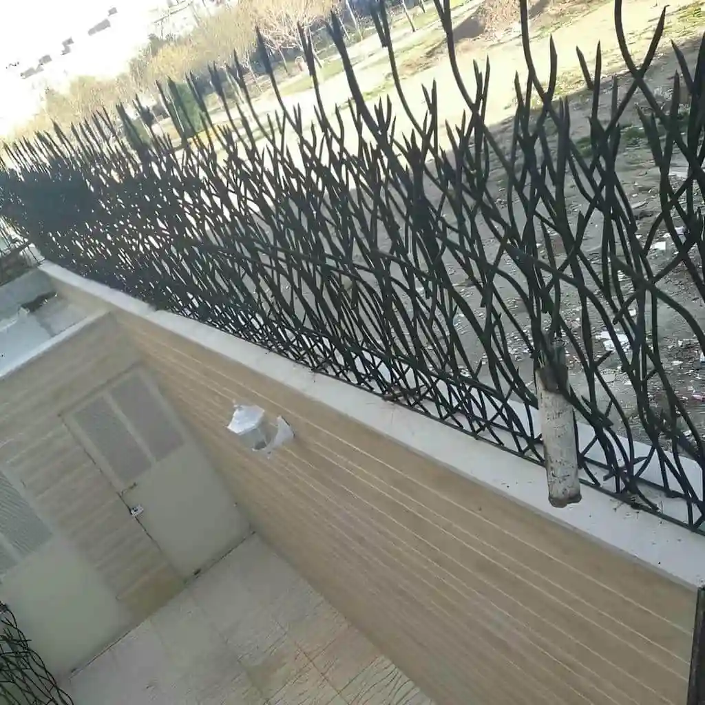 مشاهده عکس مدل های متنوع حفاظ شاخ گوزنی