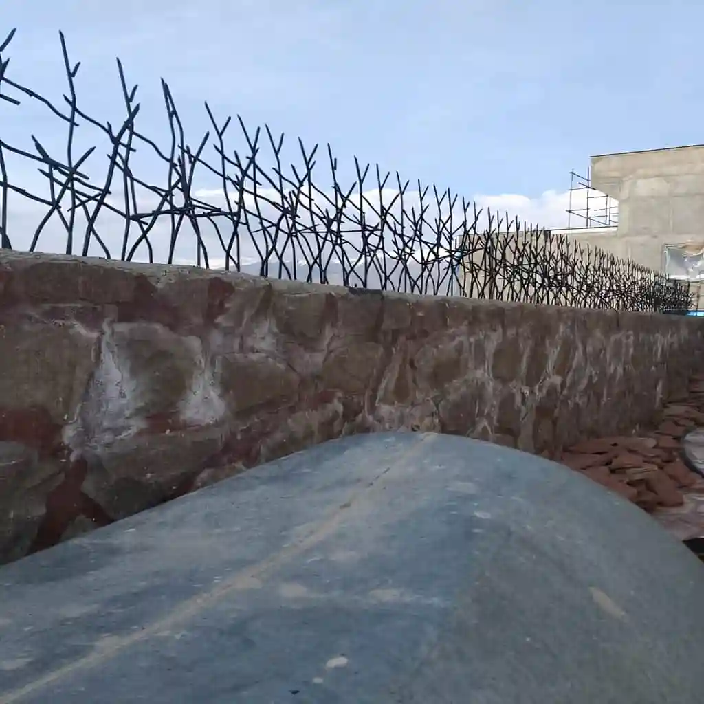 حفاظ شاخ گوزنی برای دیوار