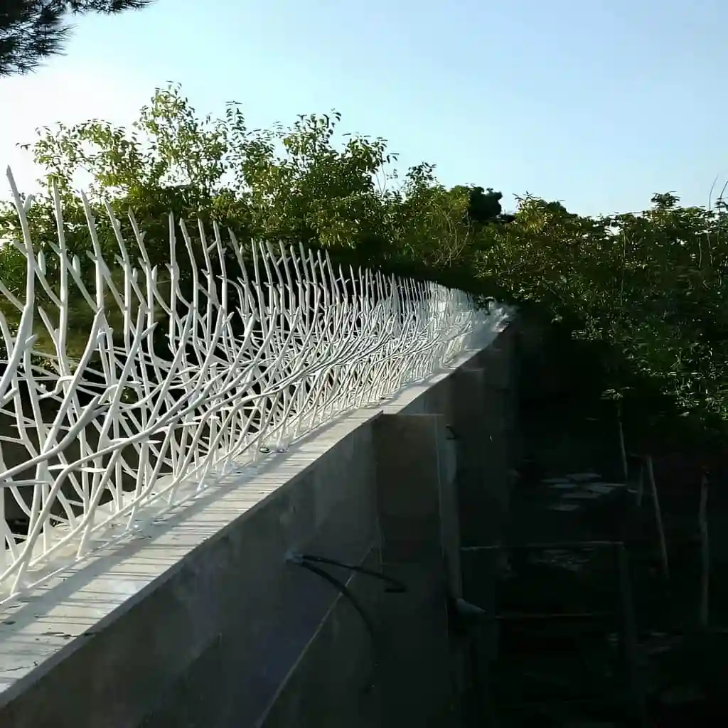 حفاظ شاخ گوزنی برای باغ