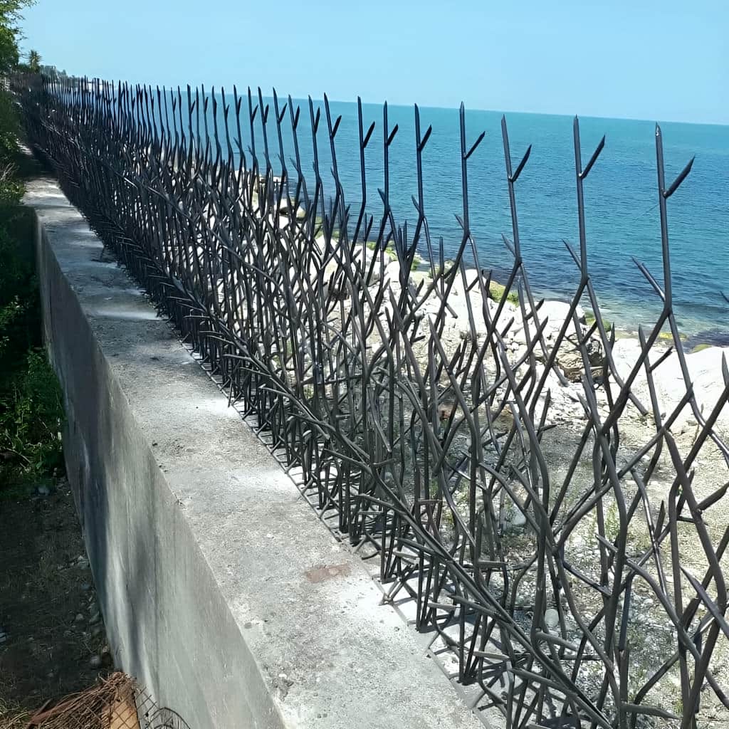 بررسی حفاظ شاخ گوزنی تراکم 40