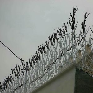 حفاظ شاخ گوزنی در تهران