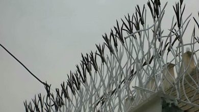 حفاظ شاخ گوزنی در تهران