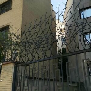 حفاظ شاخ گوزنی در نظرآباد