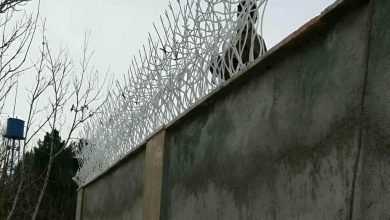 حفاظ شاخ گوزنی در خرم آباد