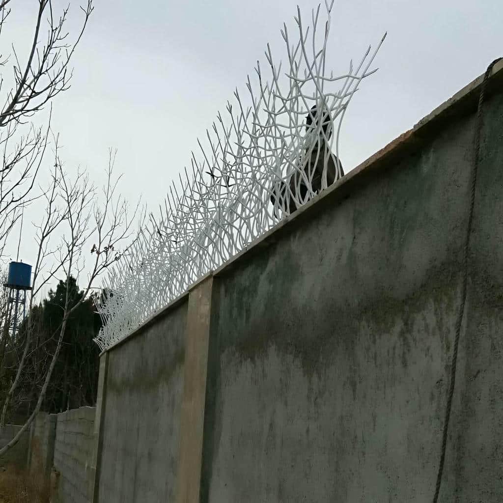 حفاظ شاخ گوزنی در خرم آباد