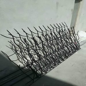 حفاظ شاخ گوزنی در یزد