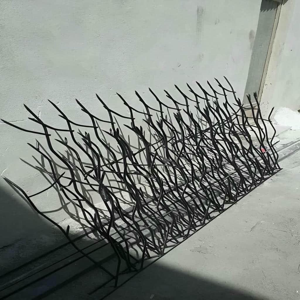 حفاظ شاخ گوزنی در یزد