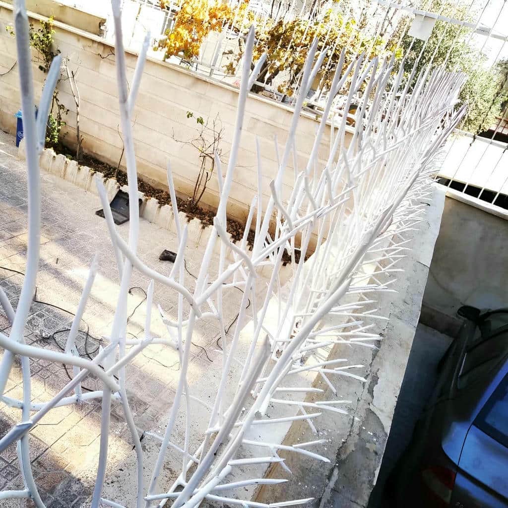 کارخانه حفاظ شاخ گوزنی صنعتی در یزد