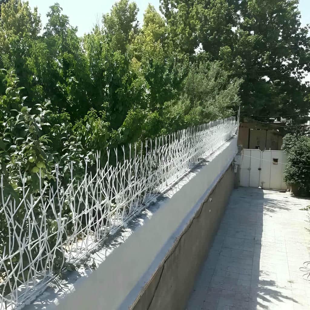 خرید حفاظ شاخ گوزنی پایدار در نسیم شهر