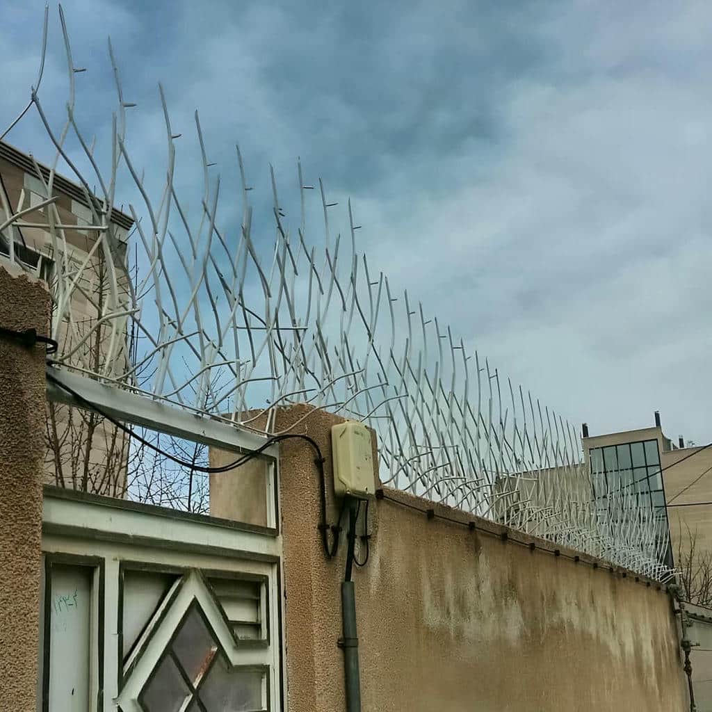 قیمت حفاظ شاخ گوزنی تراکم متعادل در همدان