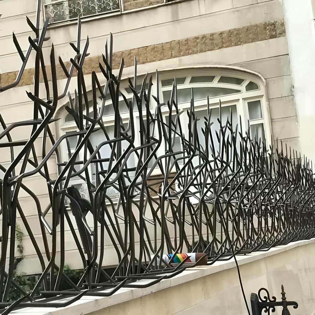 حفاظ شاخ گوزنی در مریوان