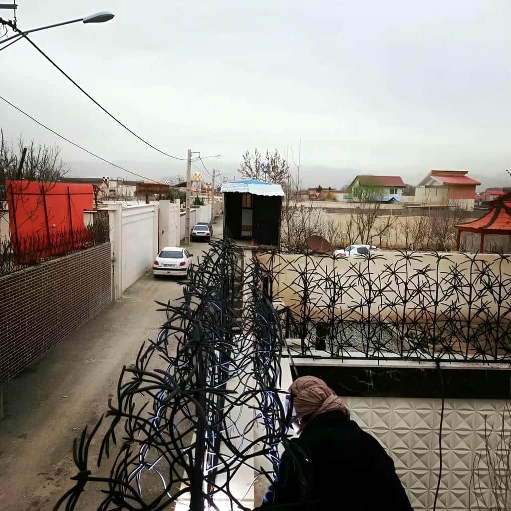 حفاظ شاخ گوزنی در رفسنجان