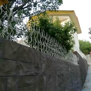 حفاظ شاخ گوزنی در آمل