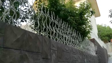 حفاظ شاخ گوزنی در آمل