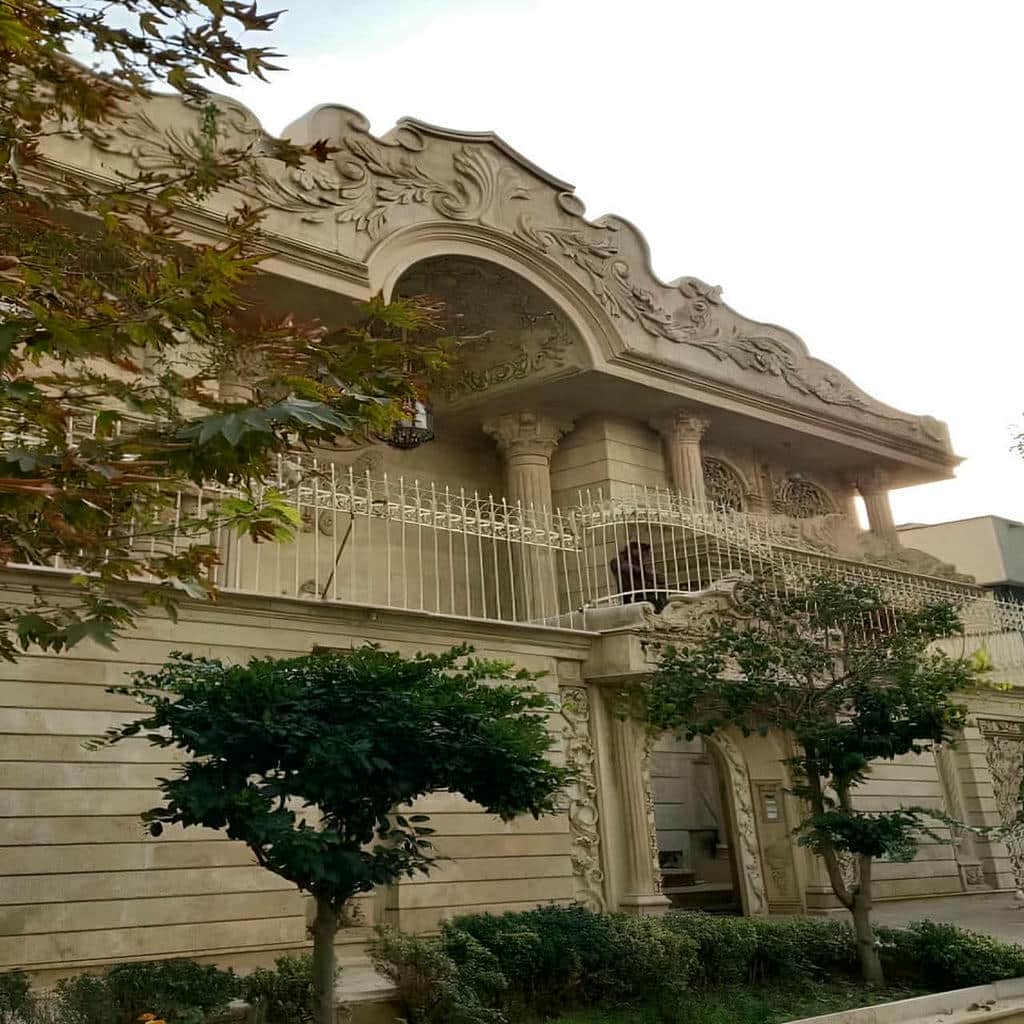 خرید حفاظ شاخ گوزنی شاخه متراکم در اهواز