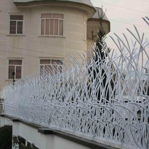 حفاظ شاخ گوزنی در استان مازندران