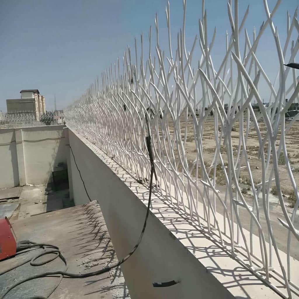 کارخانه حفاظ شاخ گوزنی ضدزنگ در نظرآباد