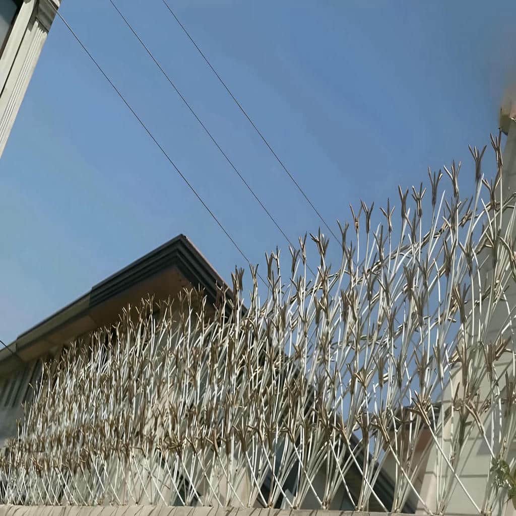 حفاظ شاخ گوزنی در نسیم شهر
