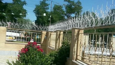 حفاظ شاخ گوزنی در کرمان