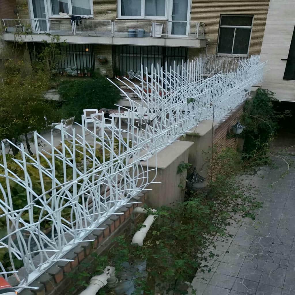 کارخانه حفاظ شاخ گوزنی پایدار در کردان