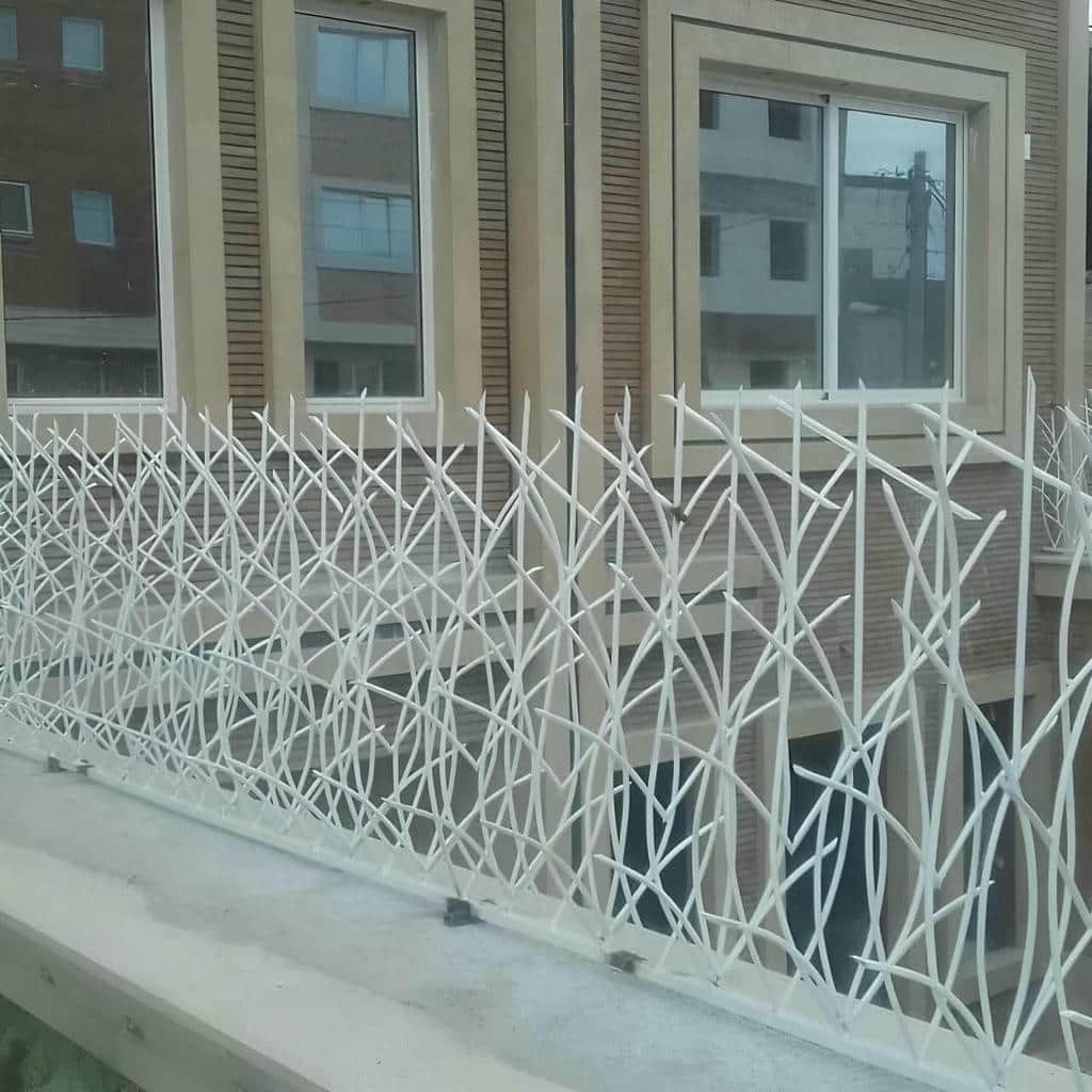 کارخانه حفاظ شاخ گوزنی صنعتی در ایرانشهر