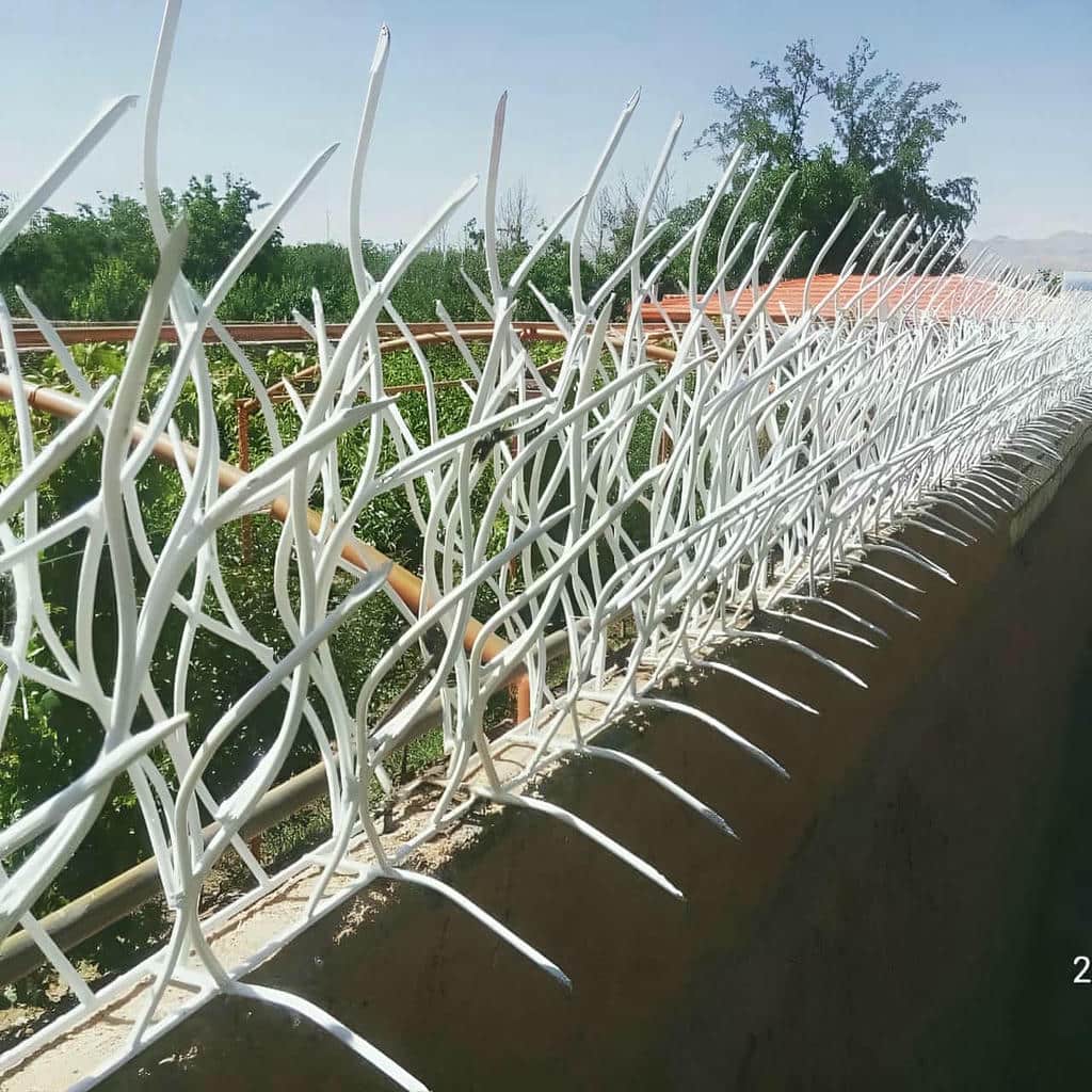 خرید حفاظ شاخ گوزنی تراکم متعادل در فیروزکوه