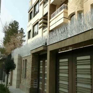 حفاظ شاخ گوزنی در قشم
