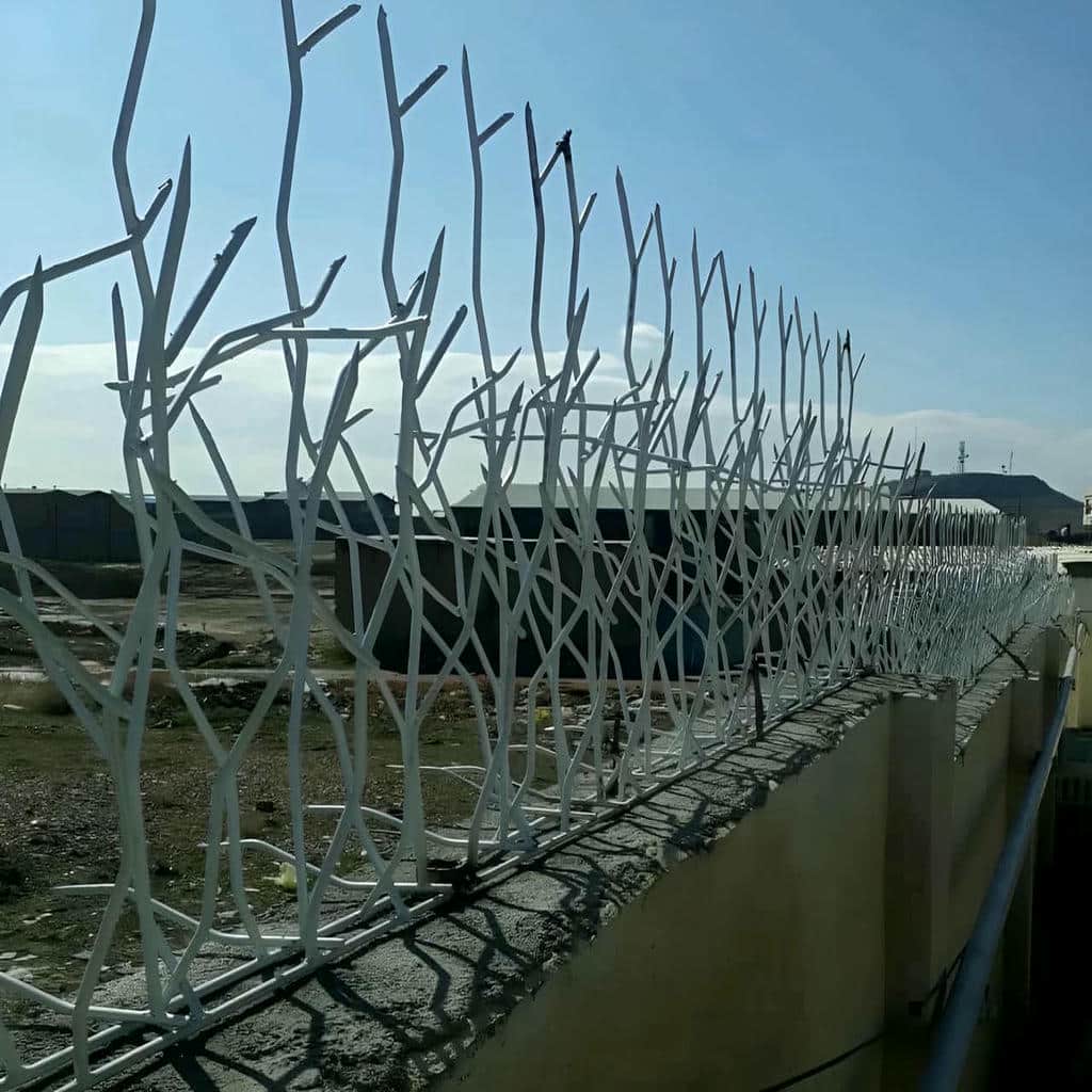 قیمت حفاظ شاخ گوزنی جوش یکنواخت در سنندج قیمت حفاظ شاخ گوزنی جوش یکنواخت در سنندج