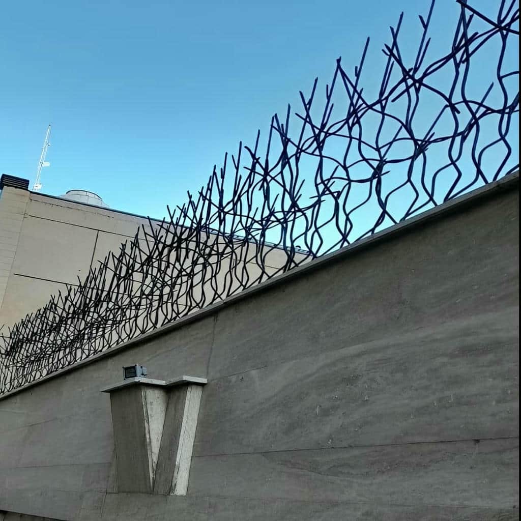 قیمت حفاظ شاخ گوزنی تراکم بالا در استان گلستان