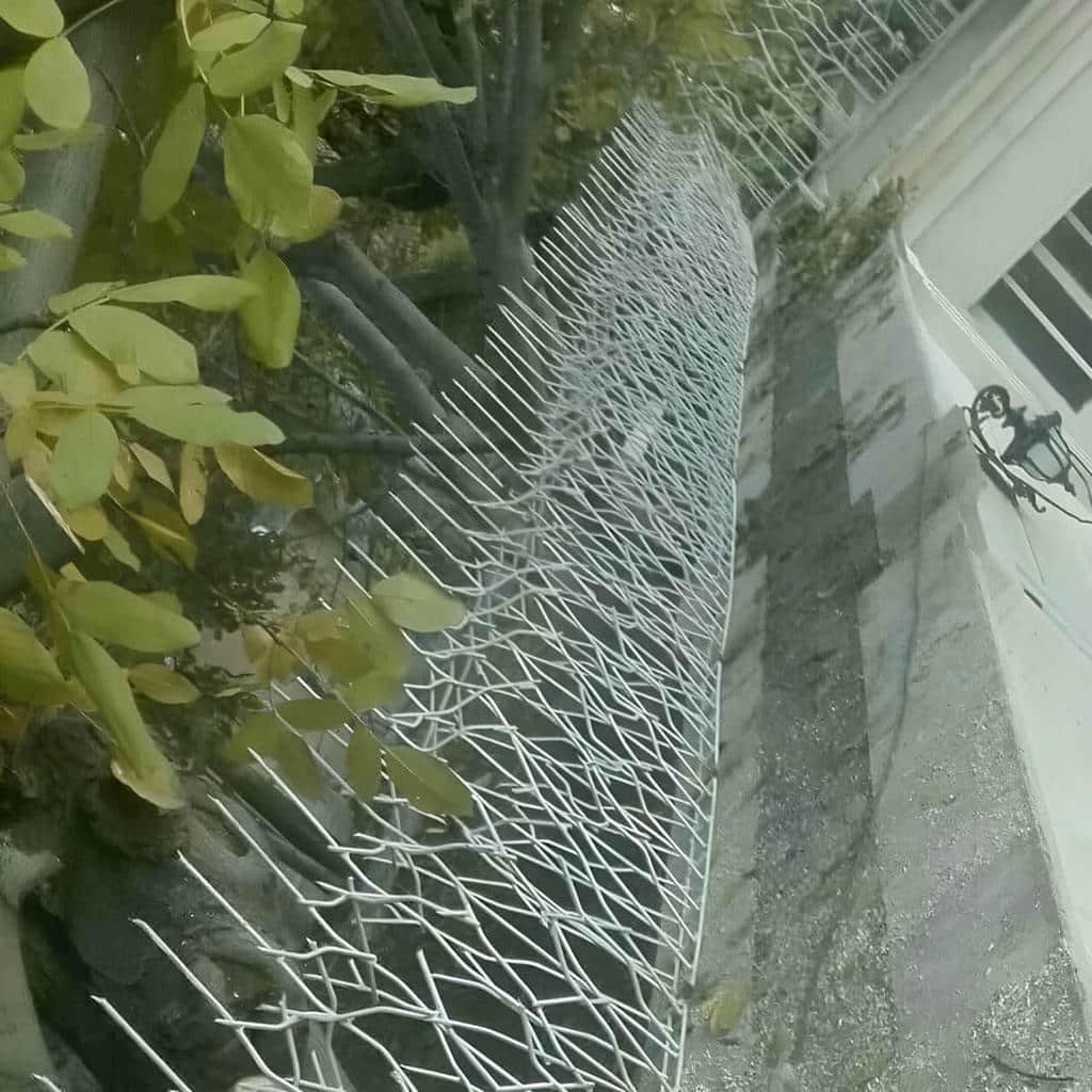 خرید حفاظ شاخ گوزنی تراکم بالا در زاهدان