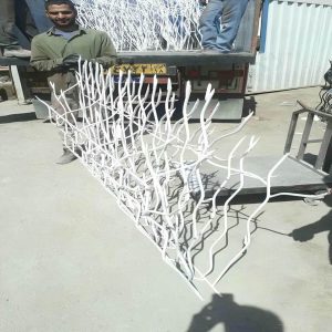 حفاظ شاخ گوزنی در بجنورد