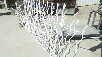 حفاظ شاخ گوزنی در بجنورد