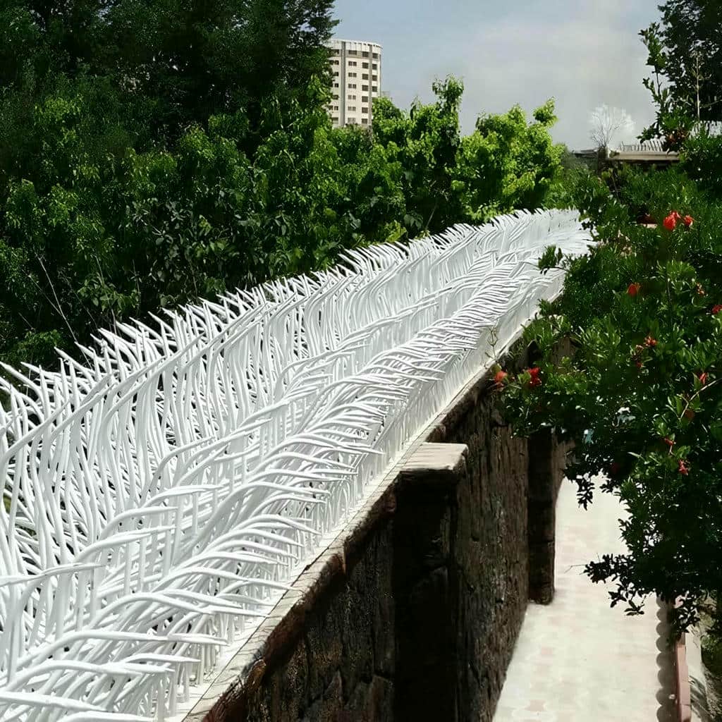 حفاظ شاخ گوزنی در اردبیل
