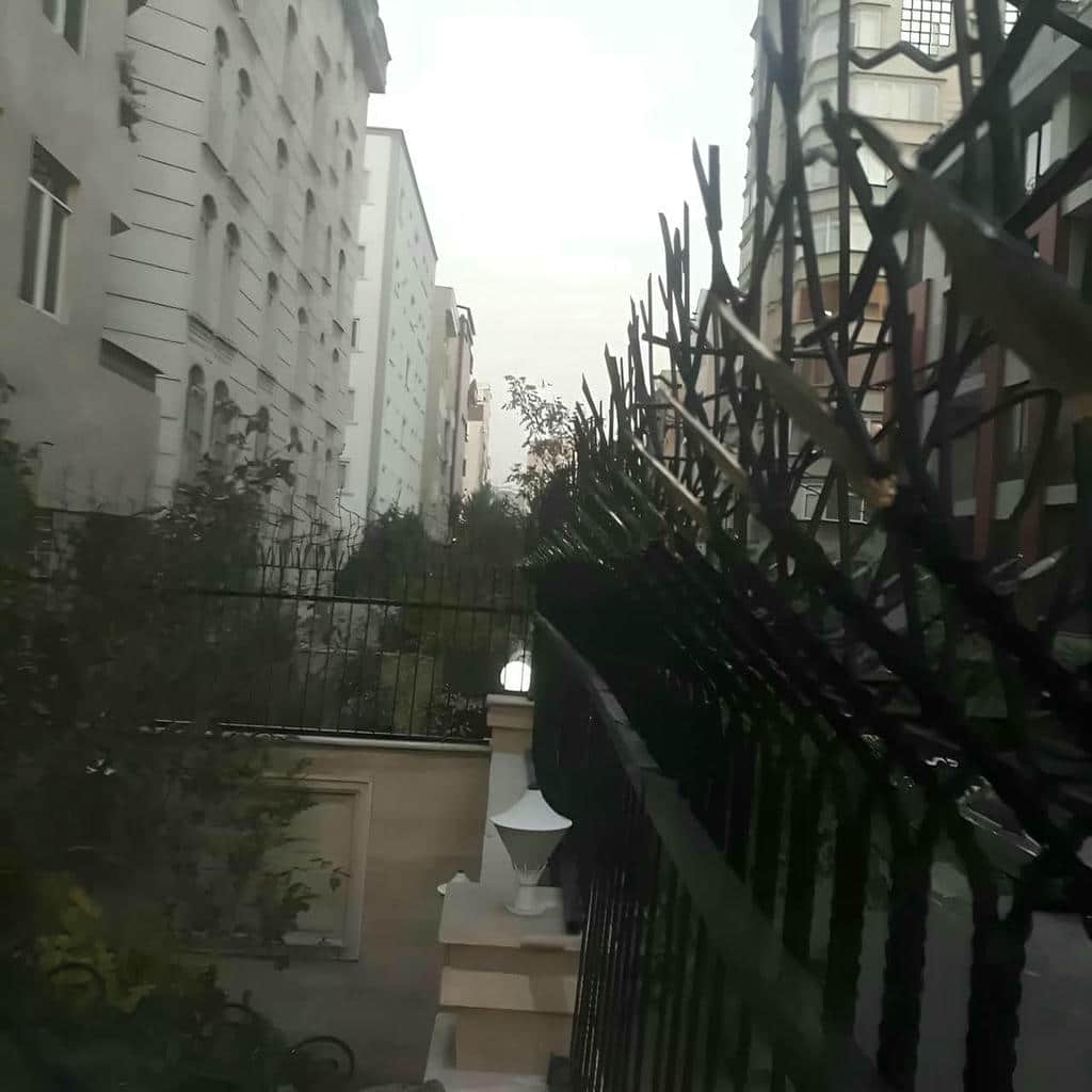 خرید حفاظ شاخ گوزنی تراز شده در رفسنجان