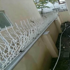 حفاظ شاخ گوزنی در اندیشه