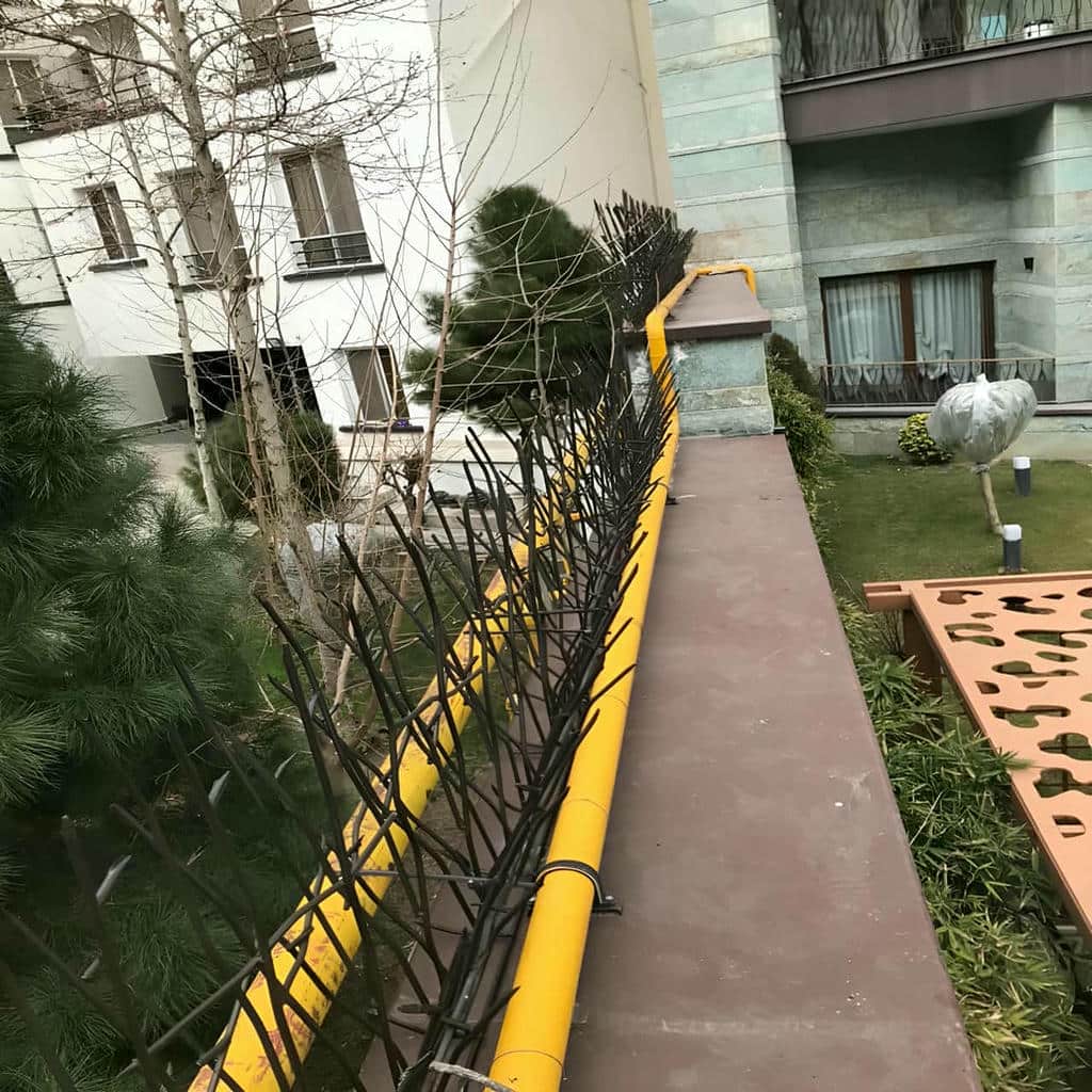 کارخانه حفاظ شاخ گوزنی صنعتی در اراک