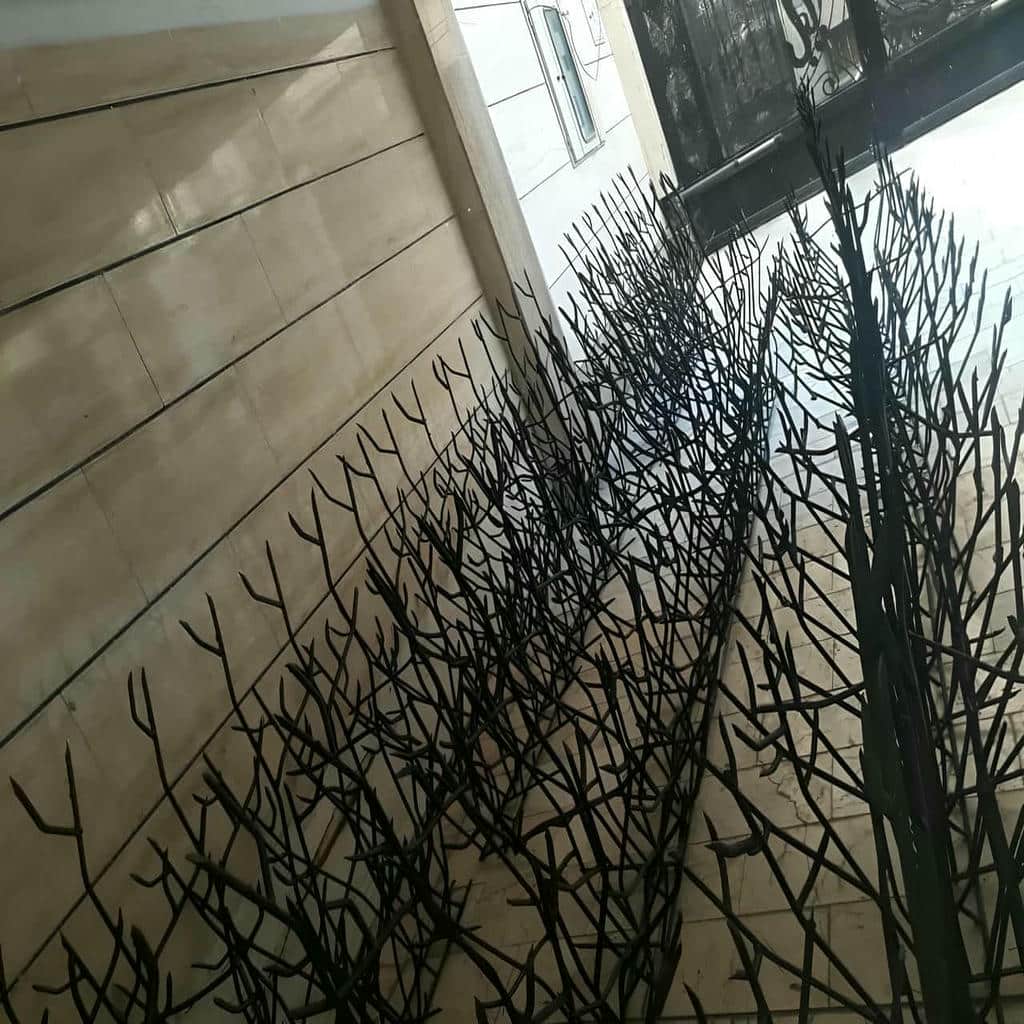 خرید حفاظ شاخ گوزنی متراکم در فردیس کرج