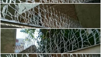 حفاظ شاخ گوزنی در یاسوج