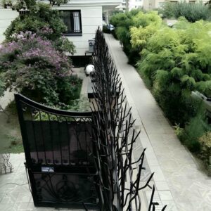 حفاظ شاخ گوزنی در طالقان